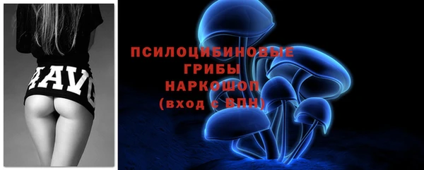 ГАЛЛЮЦИНОГЕННЫЕ ГРИБЫ Гусиноозёрск
