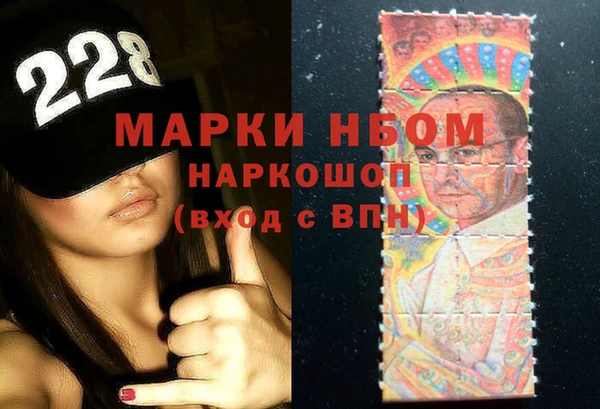 ГАЛЛЮЦИНОГЕННЫЕ ГРИБЫ Гусь-Хрустальный