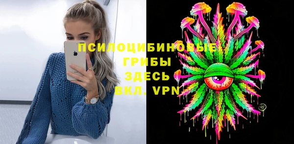 ГАЛЛЮЦИНОГЕННЫЕ ГРИБЫ Гусиноозёрск