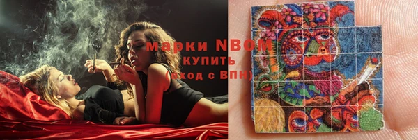 ГАЛЛЮЦИНОГЕННЫЕ ГРИБЫ Гусь-Хрустальный