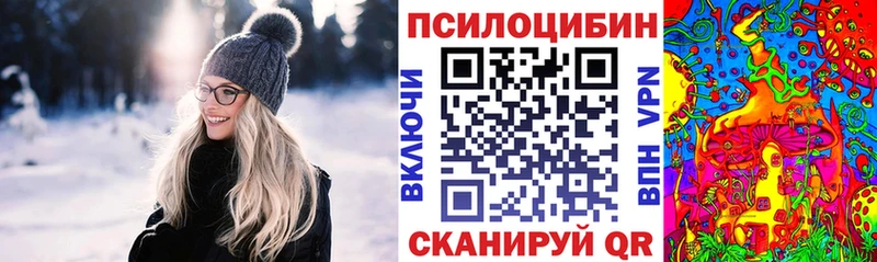 Галлюциногенные грибы GOLDEN TEACHER  Купить где  Кириллов 